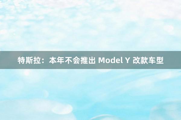 特斯拉：本年不会推出 Model Y 改款车型