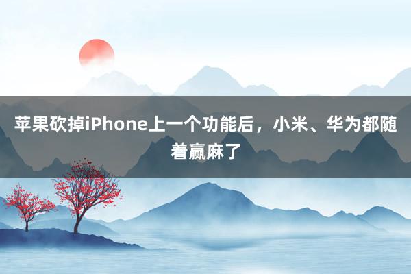 苹果砍掉iPhone上一个功能后，小米、华为都随着赢麻了