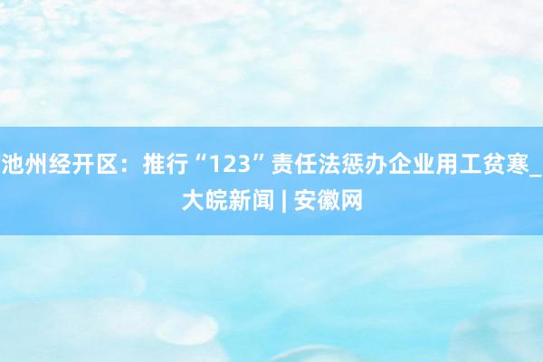 池州经开区：推行“123”责任法惩办企业用工贫寒_大皖新闻 | 安徽网