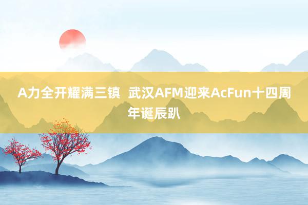 A力全开耀满三镇  武汉AFM迎来AcFun十四周年诞辰趴