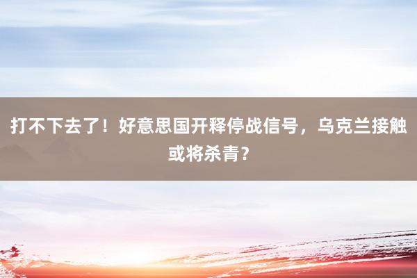 打不下去了！好意思国开释停战信号，乌克兰接触或将杀青？