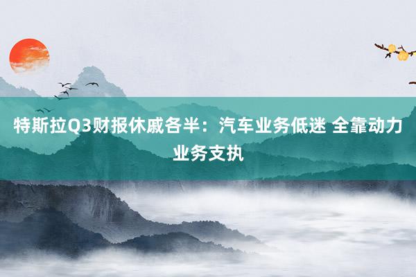 特斯拉Q3财报休戚各半：汽车业务低迷 全靠动力业务支执