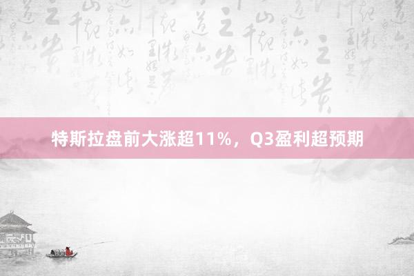 特斯拉盘前大涨超11%，Q3盈利超预期