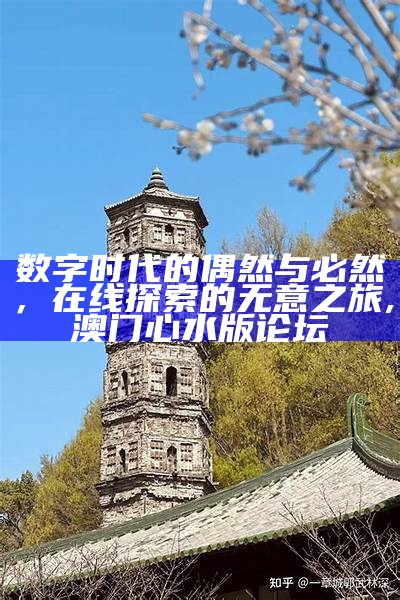 数字时代的偶然与必然，在线探索的无意之旅,澳门心水版论坛