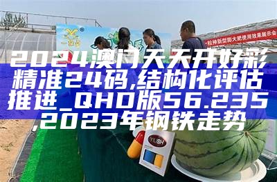 2024澳门天天开好彩精准24码,结构化评估推进_QHD版56.235,2023年钢铁走势