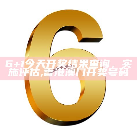 6+1今天开奖结果查询，实施评估,2023澳门开奖结果今晚49期