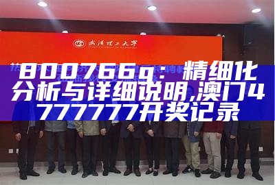 800766g：精细化分析与详细说明,澳门4777777开奖记录