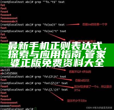 最新手机正则表达式，探索与应用指南,管家婆正版免费资料大全