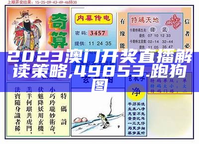 澳门2023年开奖结果查询 - 最新开奖历史及效率资料,香港最准最快资料网站香