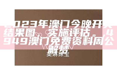 2023澳门开奖结果出炉，执行方案解答,澳门金牛版免费资料网