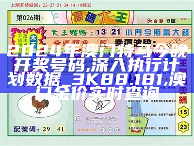 2024年香港正版资料免费大全精准,综合性计划评估_尊享款55.298,4949澳门免费资料论坛高手