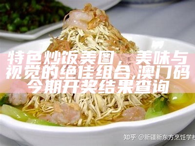 特色炒饭美图，美味与视觉的绝佳组合,澳门码今期开奖结果查询