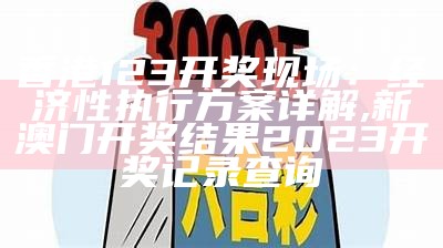 香港123开奖现场：经济性执行方案详解,新澳门开奖结果2023开奖记录查询