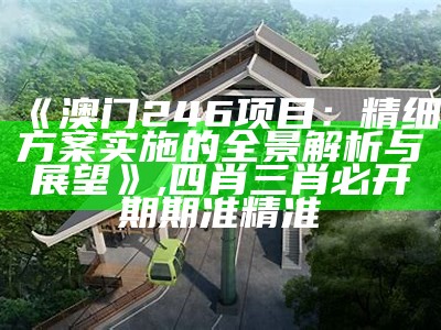 《澳门246项目：精细方案实施的全景解析与展望》,四肖三肖必开期期准精准