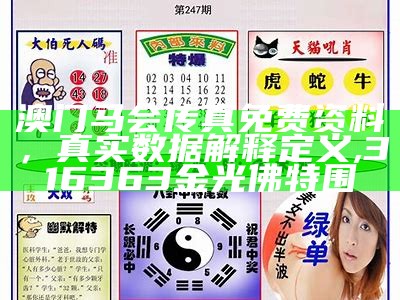 澳门马会传真免费资料，真实数据解释定义,316363金光佛特围