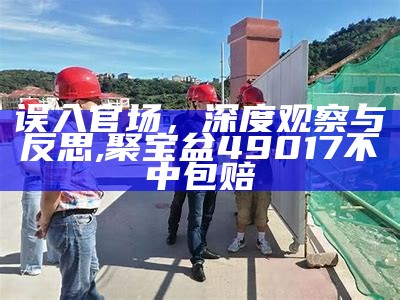 误入官场，深度观察与反思,聚宝盆49017不中包赔