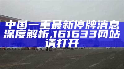 中国一重最新停牌消息深度解析,161633网站请打开