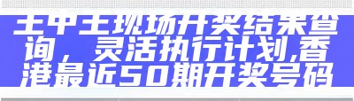 澳门118开奖站快速执行方案大揭秘,澳门管家婆免费资料查询50