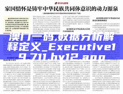 澳门一码,数据分析解释定义_Executive19.711,hy12.app